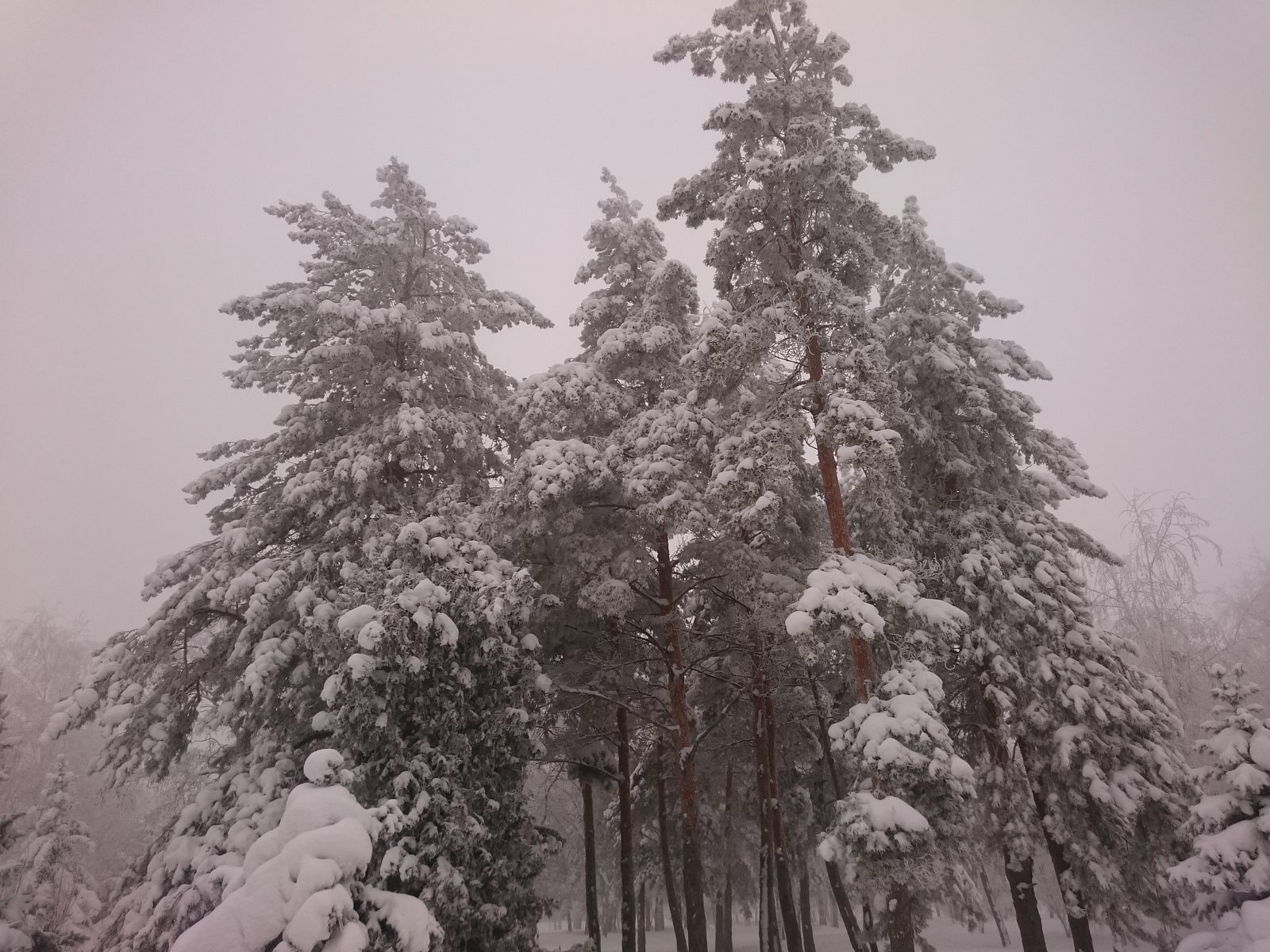 Winter in Volgograd - My, , , Volgograd, Video, Longpost