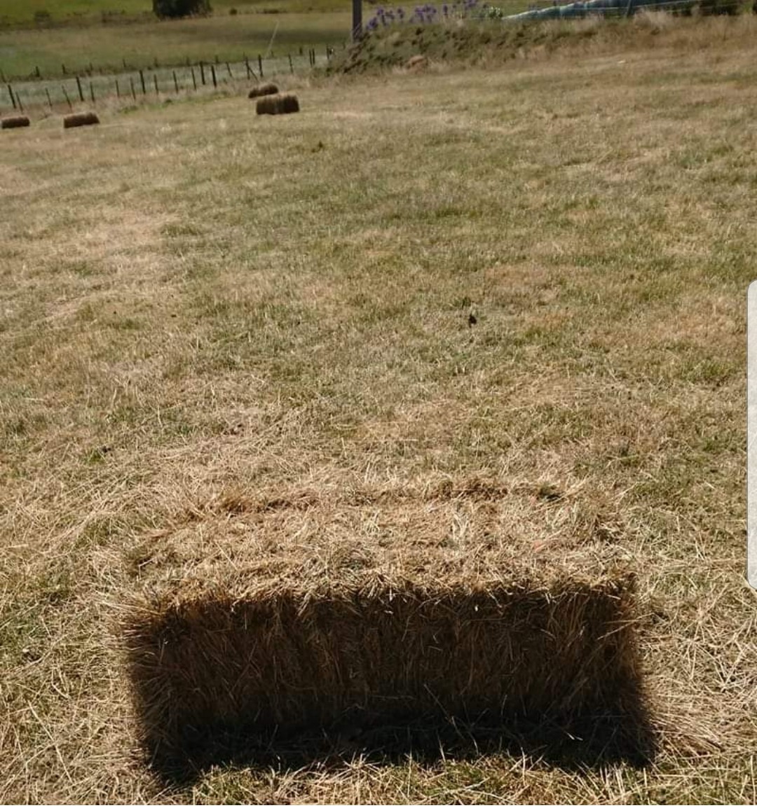 My brain is trying to fool me again.) - Hay, Pit, Bale, Optical illusions, Shadow