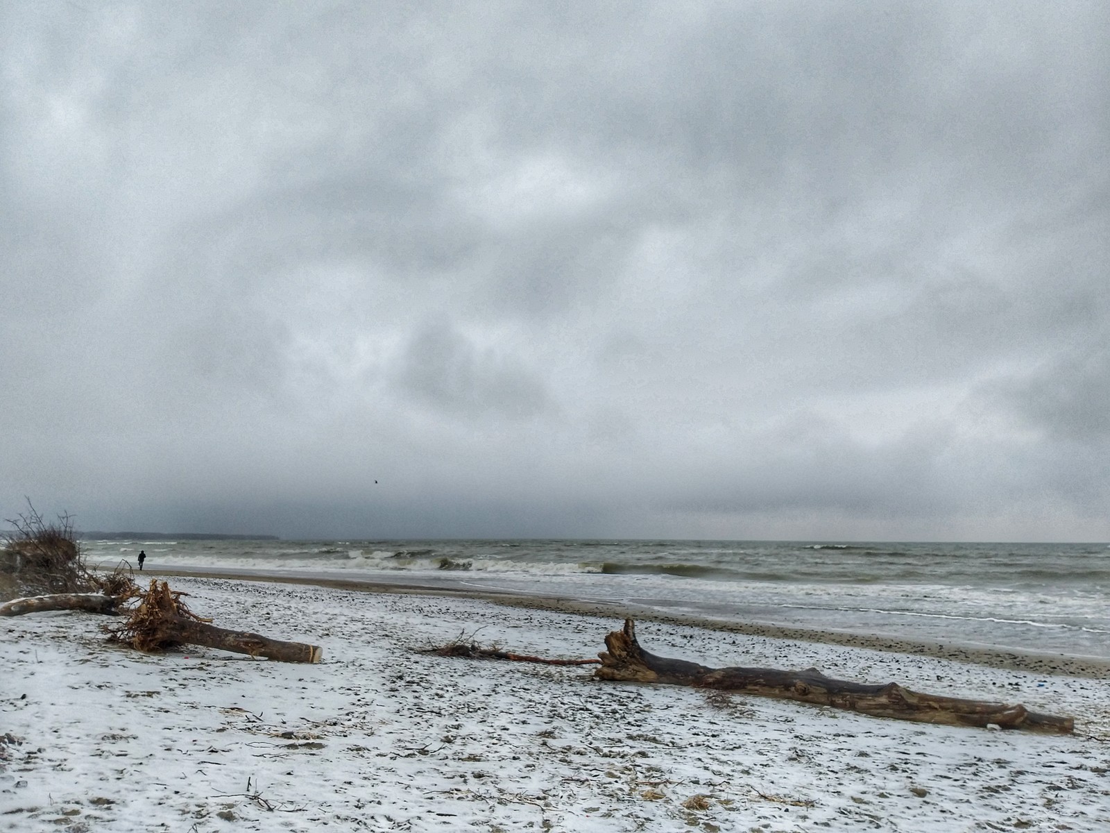 Winter Baltic - My, Sea, Pine, Baltic Sea, Kaliningrad region, Kaliningrad, The photo, Longpost