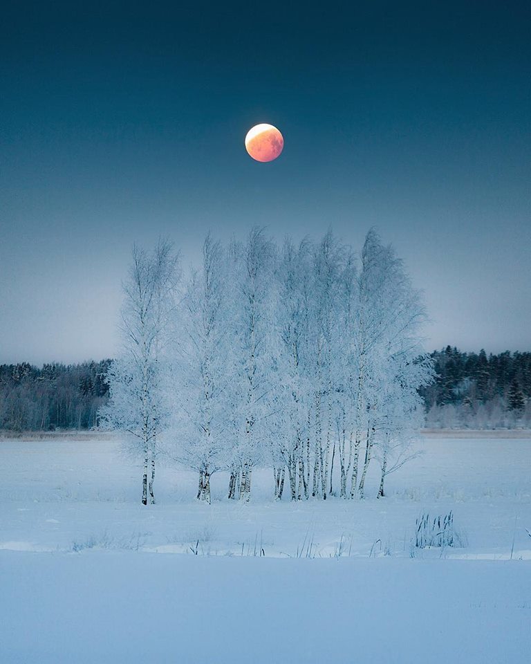 Bloody moon - Nature, beauty of nature, Finland, moon, The photo