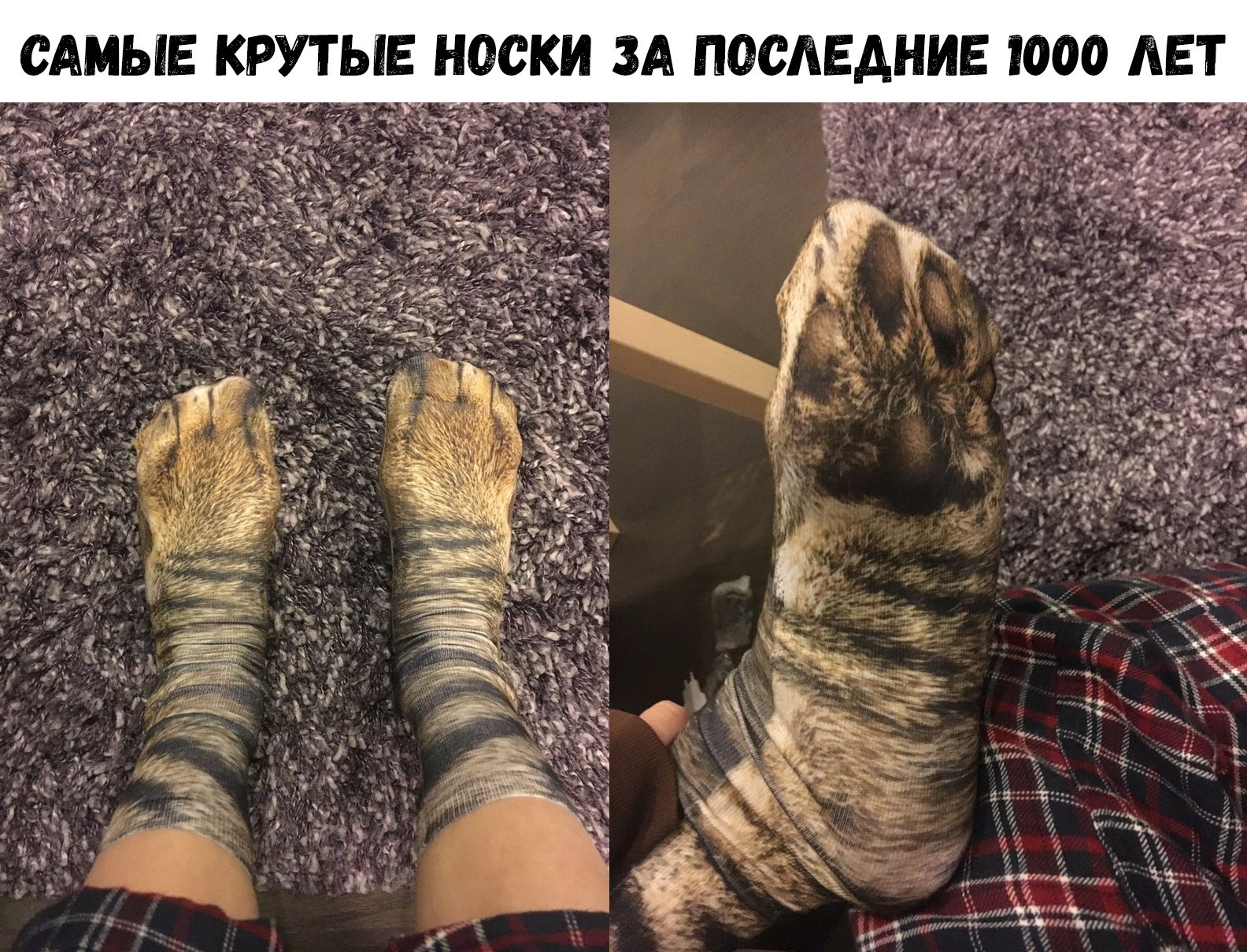 Прикольные носки) | Пикабу