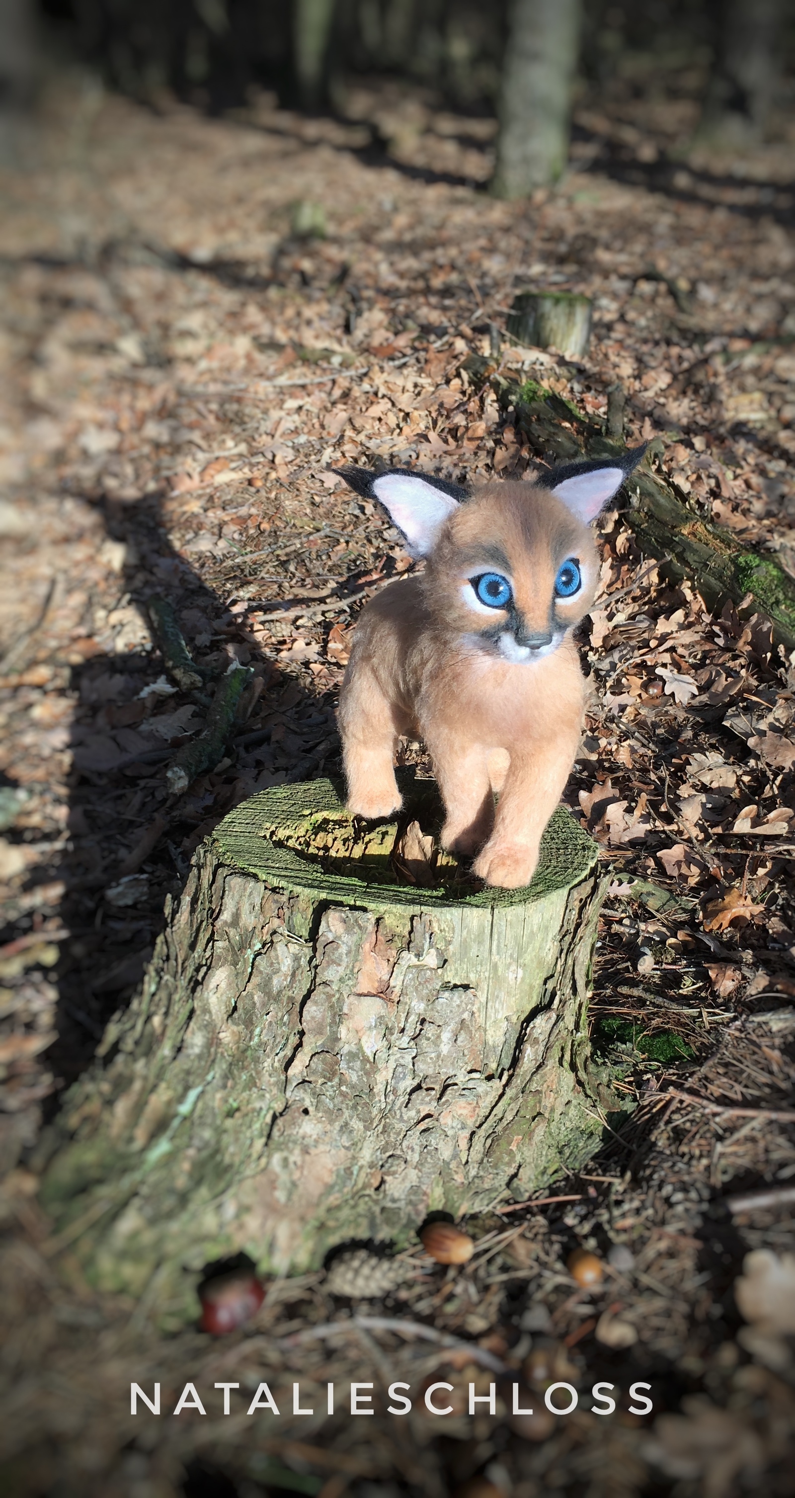 Baby caracal. Dry felting. - My, Caracal, Dry felting, Needlework without process, Young, Longpost