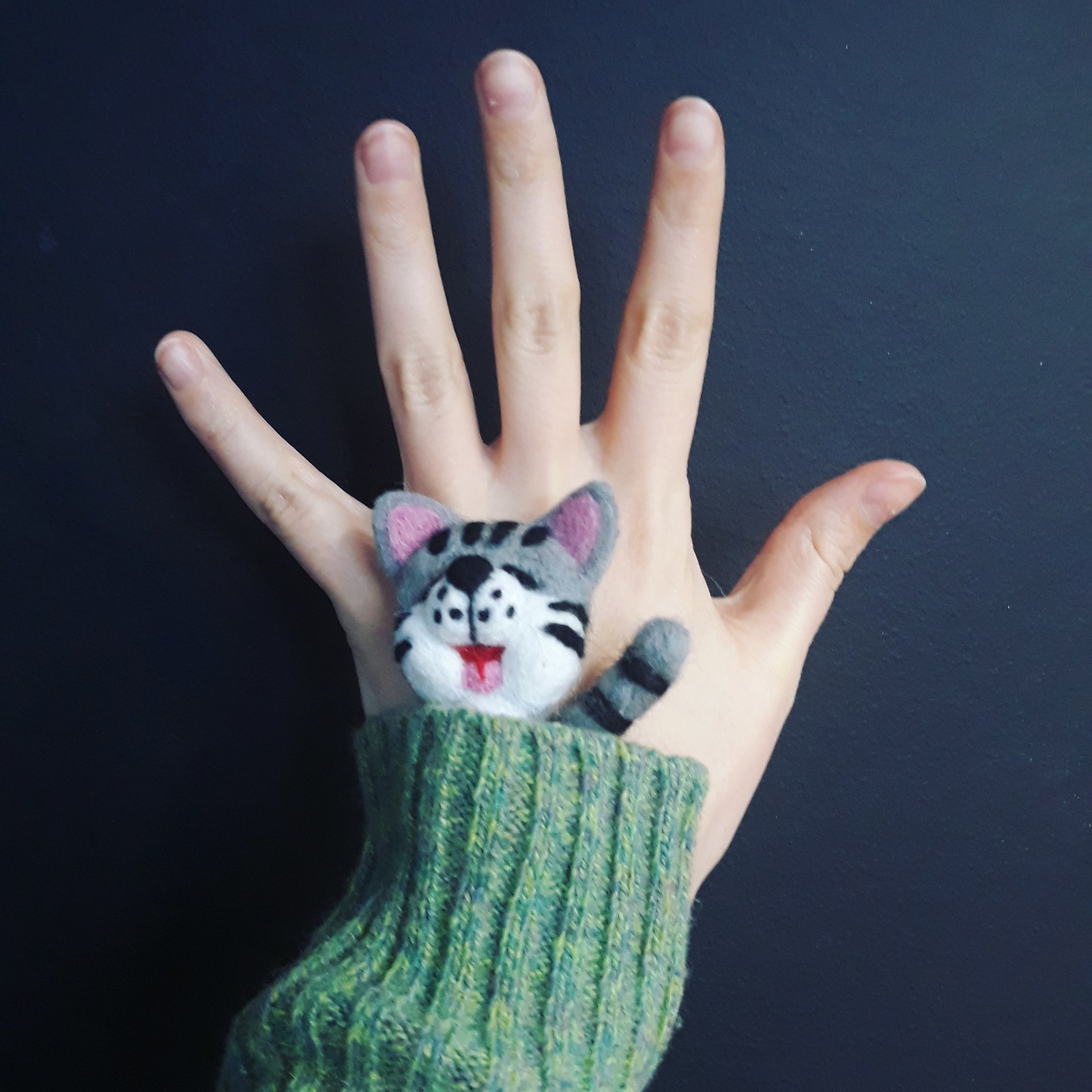 Kitten in the sleeve. - My, Needlework, With your own hands, Dry felting, Wallow, Handmade, cat, Catomafia, Wool