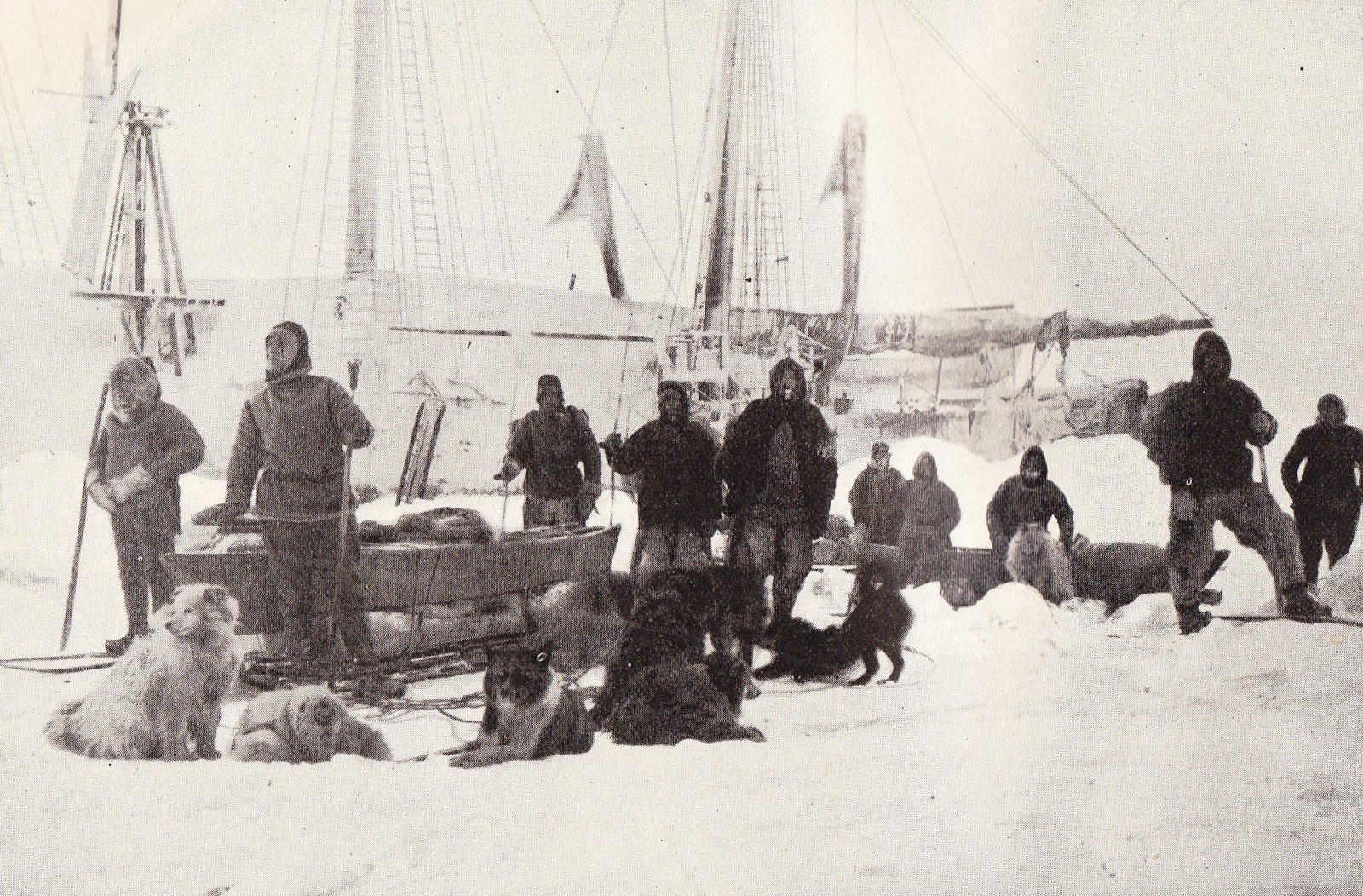 В тени великих. Ялмар Юхансен - Моё, Йохансен, Амундсен, Нансен, Северный Полюс, Южный полюс, Арктика, Путешествия, История, Длиннопост