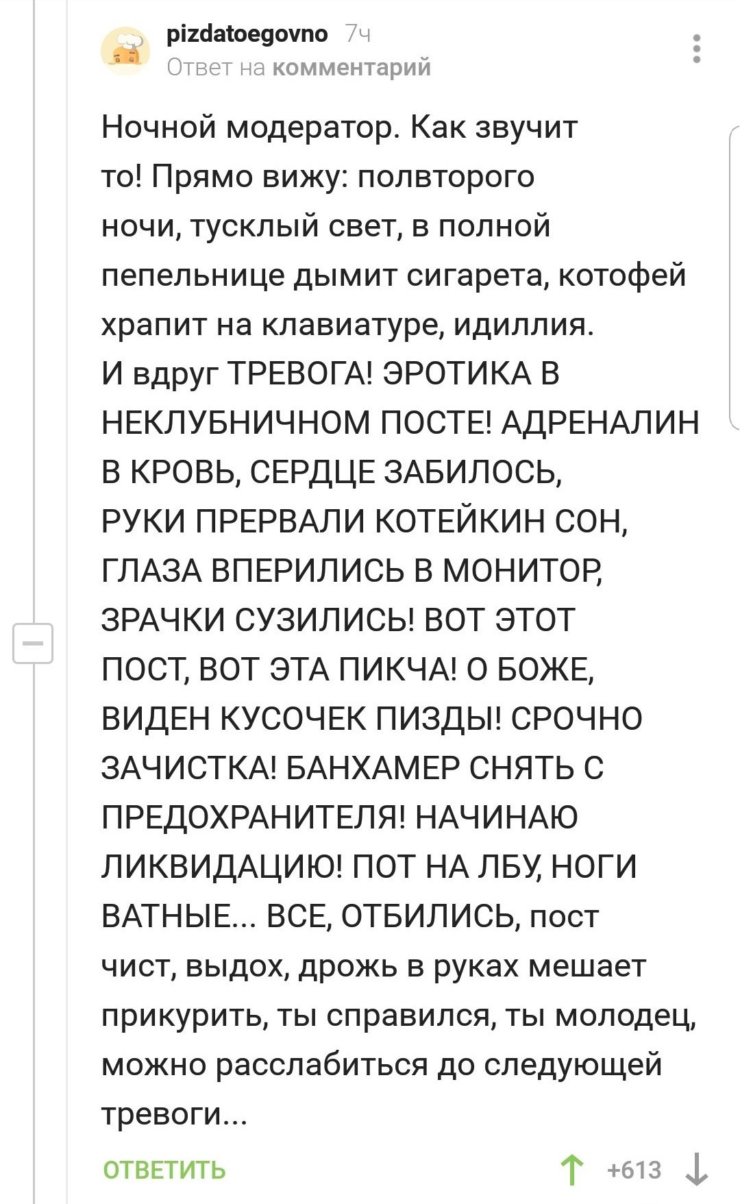 Ночной модератор - Комментарии на Пикабу, Модератор, Длиннопост, Скриншот, Работа