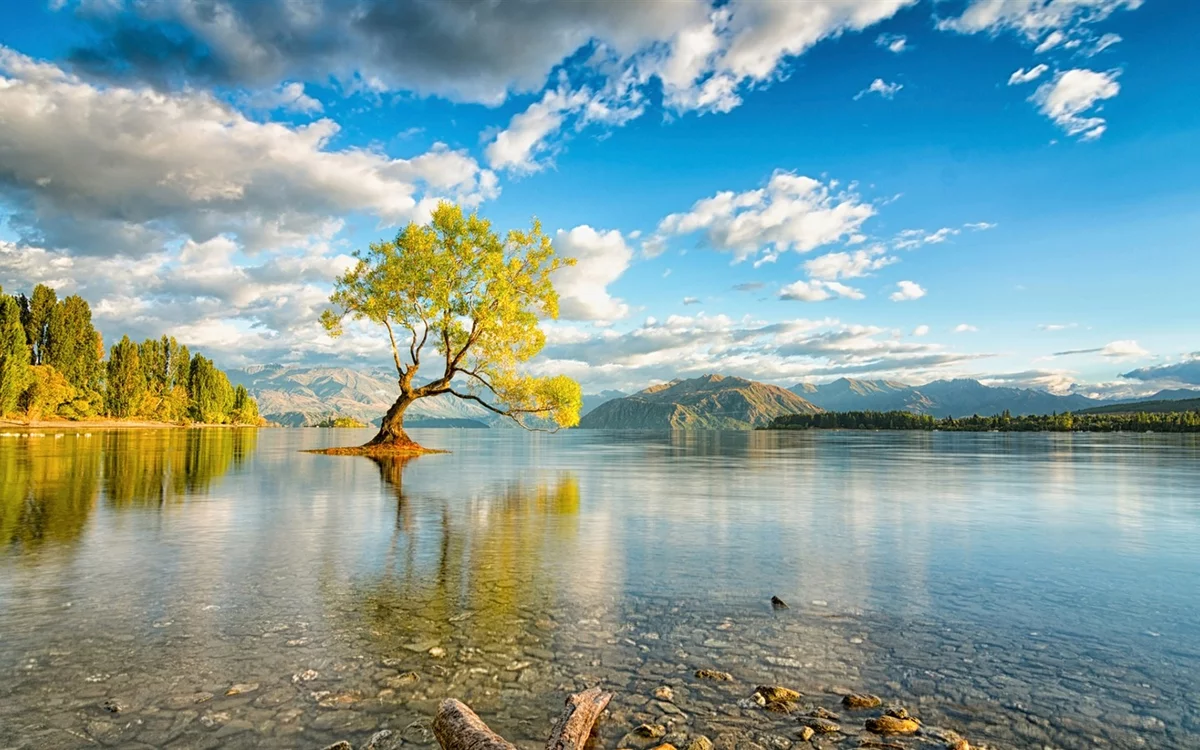 Lake - Landscape, Spring, Lake, Nature, The photo