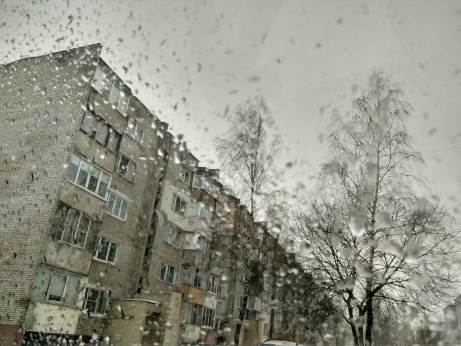 How do you like the photo?)) - My, The street, The photo, Nature, Rain, Snow, House, Tree, Wind