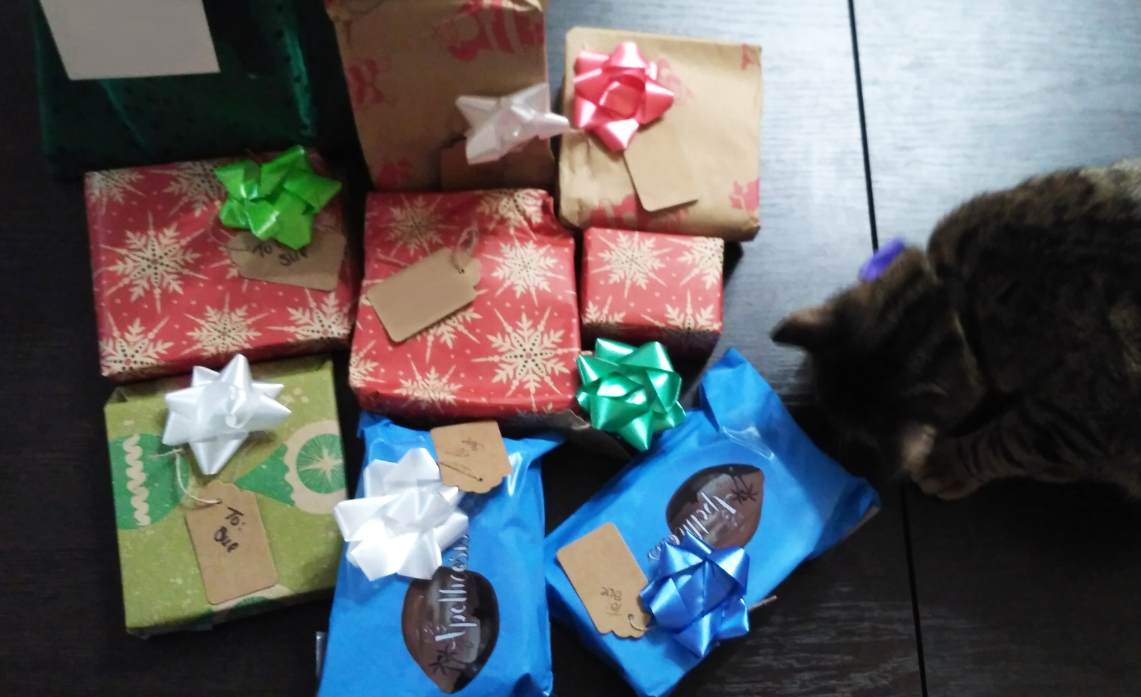 My American Santa - My, Longpost, Gift exchange report, Secret Santa, New Year, Gift exchange, cat