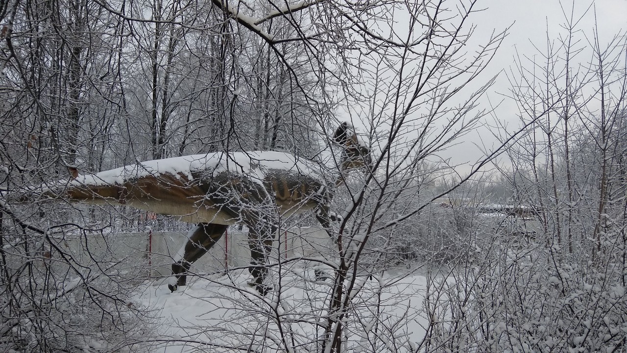 Frosty Cenozoic morning - My, The photo, Saint Petersburg, Dinosaurs, Cold, 