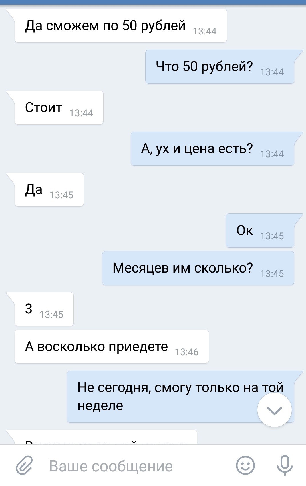 Решил я как-то завести щенка. Или бизнес не удался. - Моё, Домашние животные, Бизнес, Длиннопост, Собака, Переписка