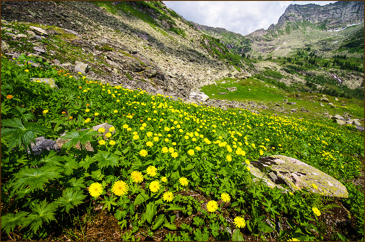 Jerboa waterfall and the road to it - My, Russia, Ergaki, Travels, Photo tour, Longpost