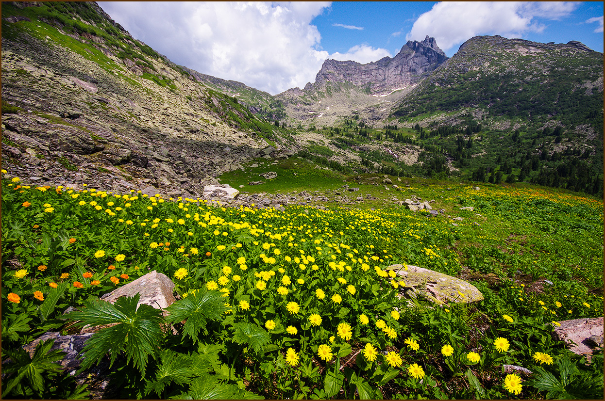 Jerboa waterfall and the road to it - My, Russia, Ergaki, Travels, Photo tour, Longpost