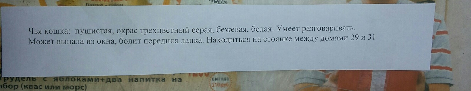 Объявление... Говорящий кот - Потерялся кот, Объявление