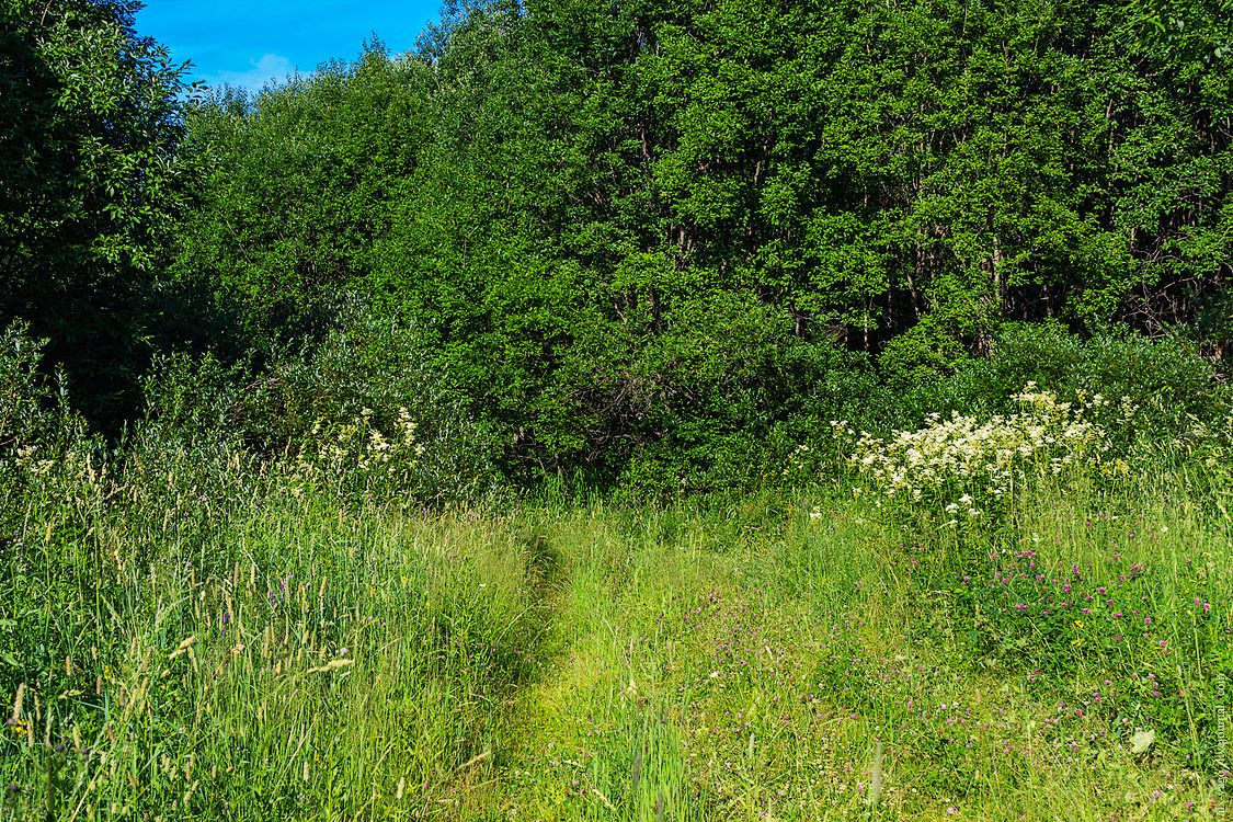 Bicycle tour in Northern Perm. - My, Bike trip, Travels, The photo, , , , Nyrob, Longpost