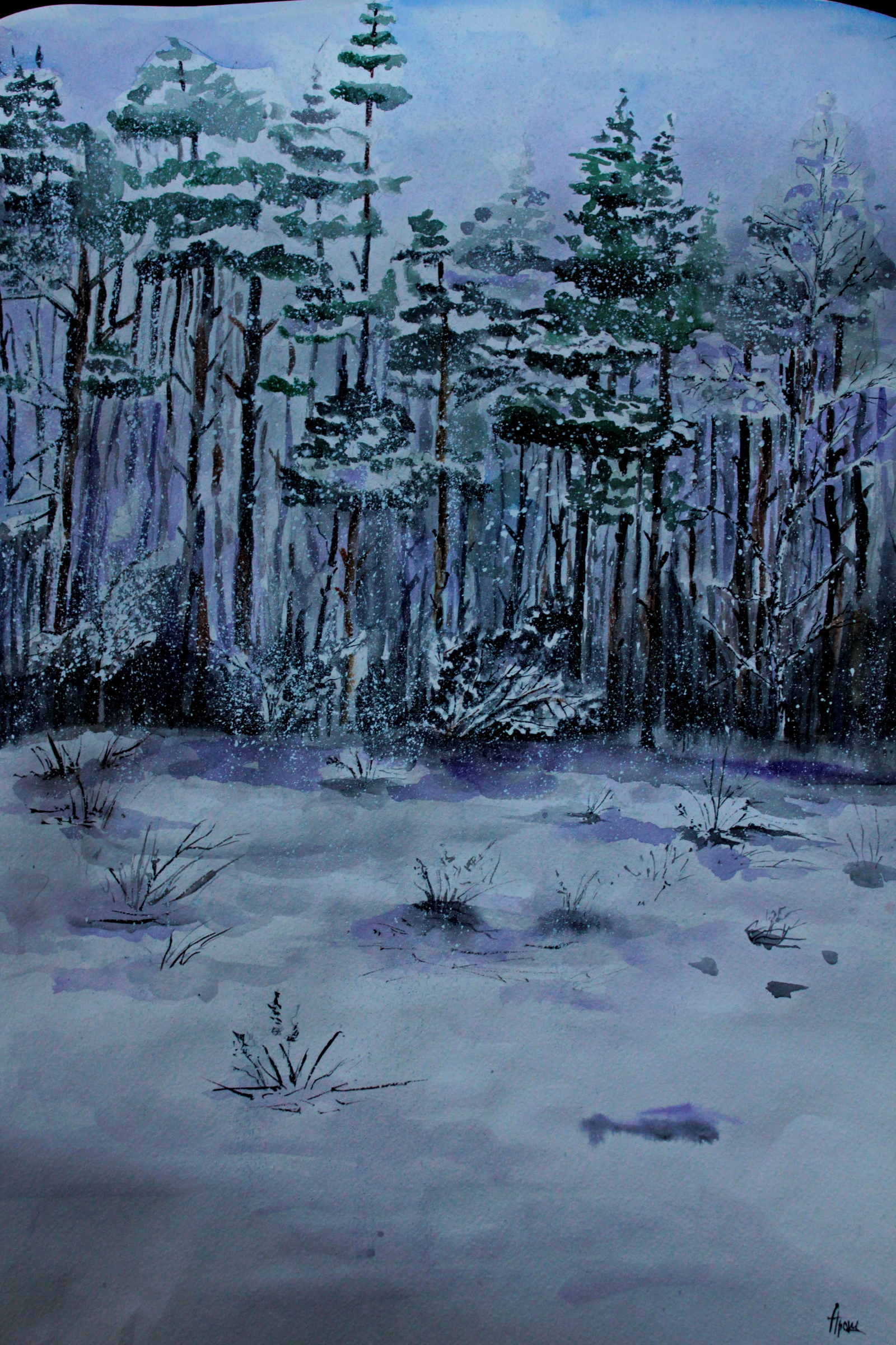 Watercolor winter - My, Forest, Winter, Watercolor