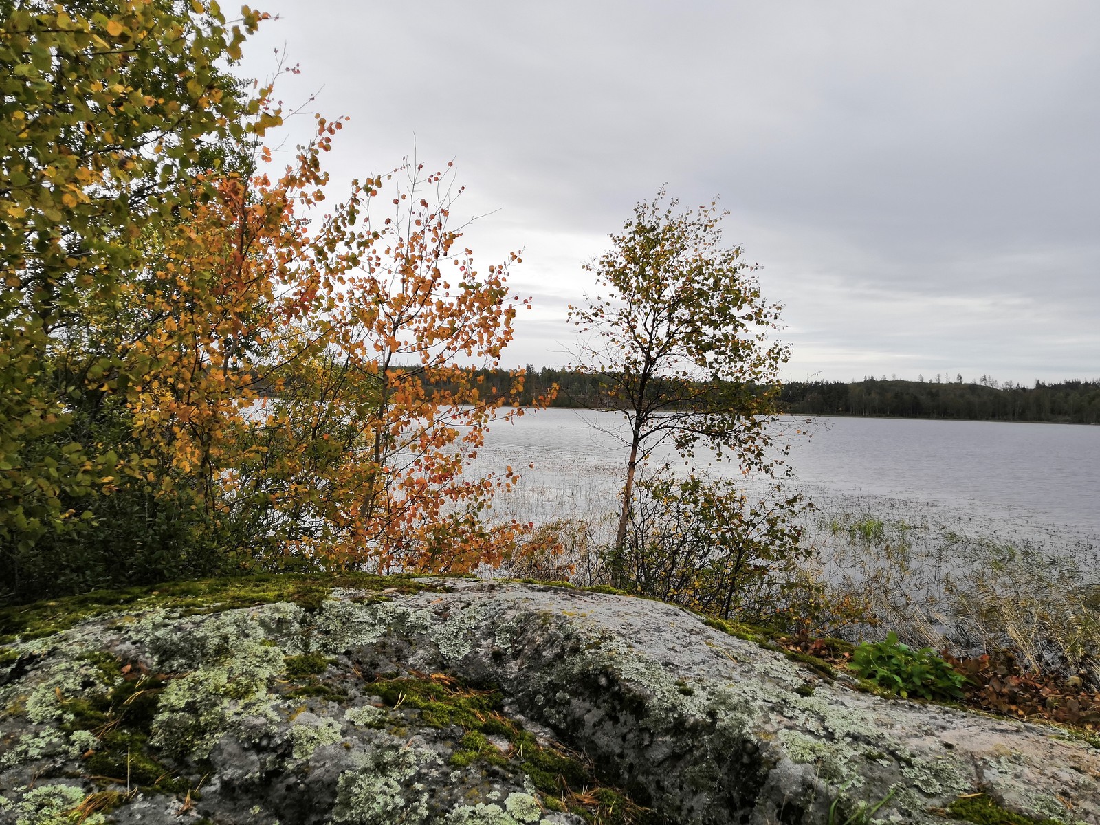 The beginning of autumn in Karelia - My, Fishing, Relaxation, Nature, Карелия, Longpost