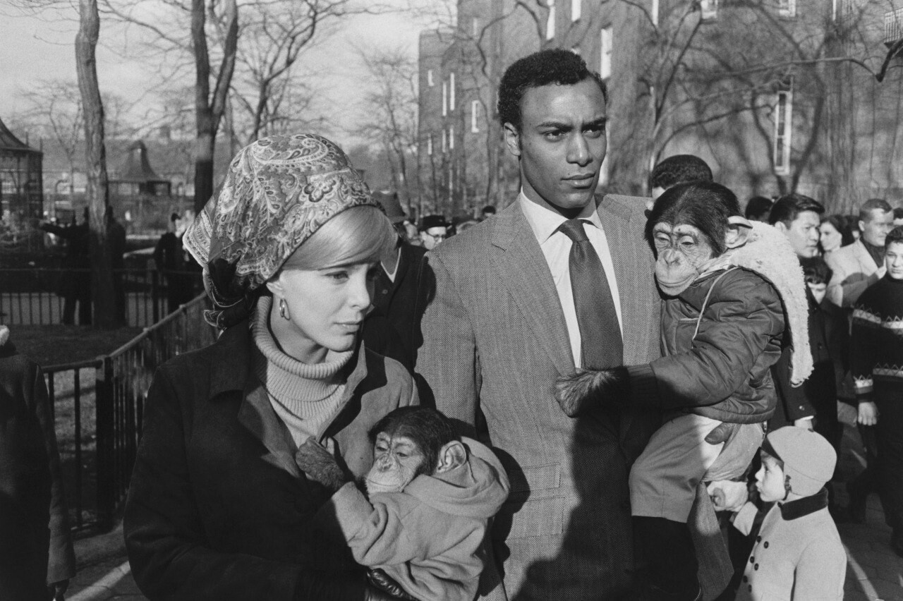 New York Central Park, 1967 - USA, New York, Historical photo