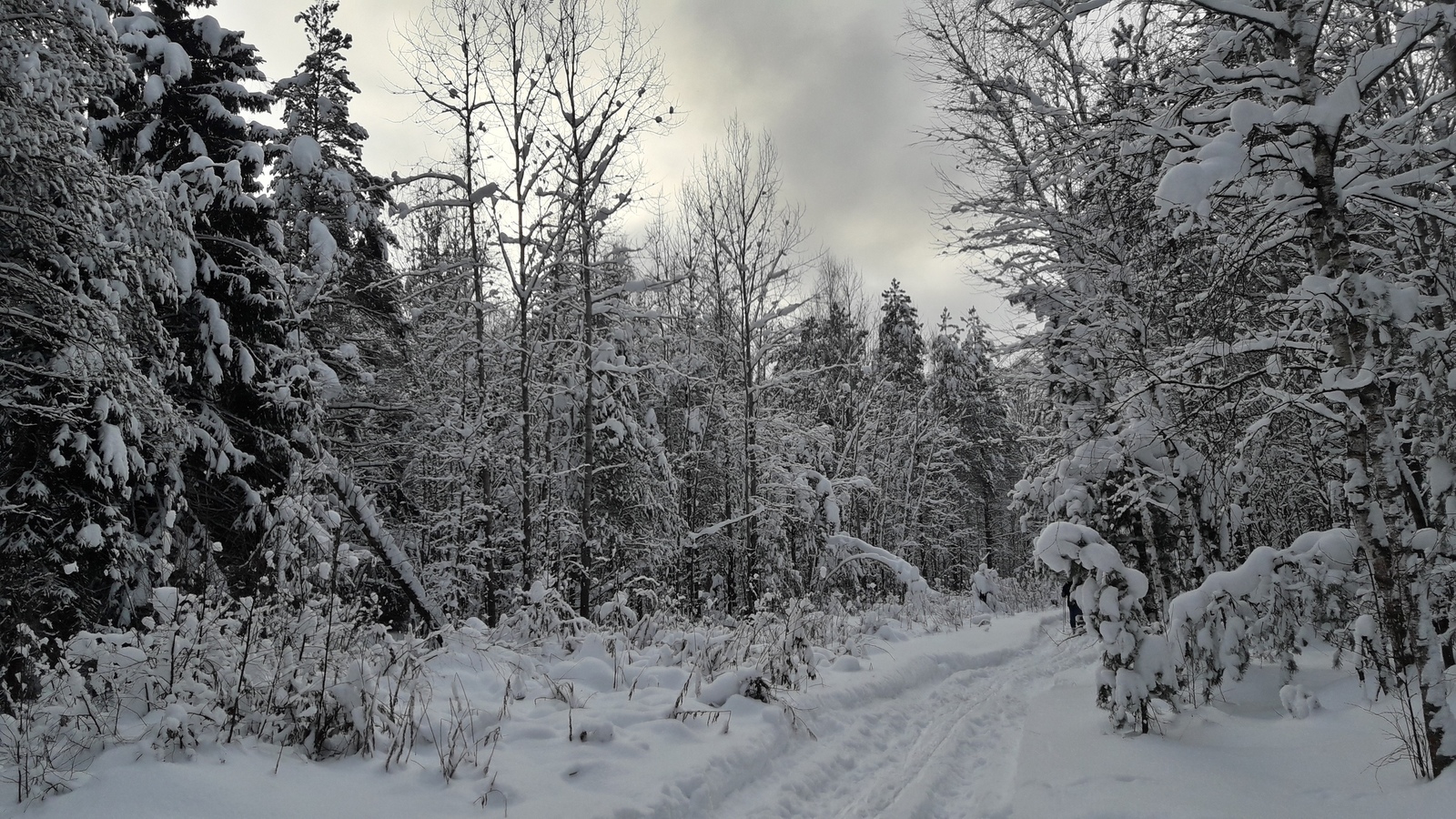 Winter beauty - My, Hike, Winter, Longpost