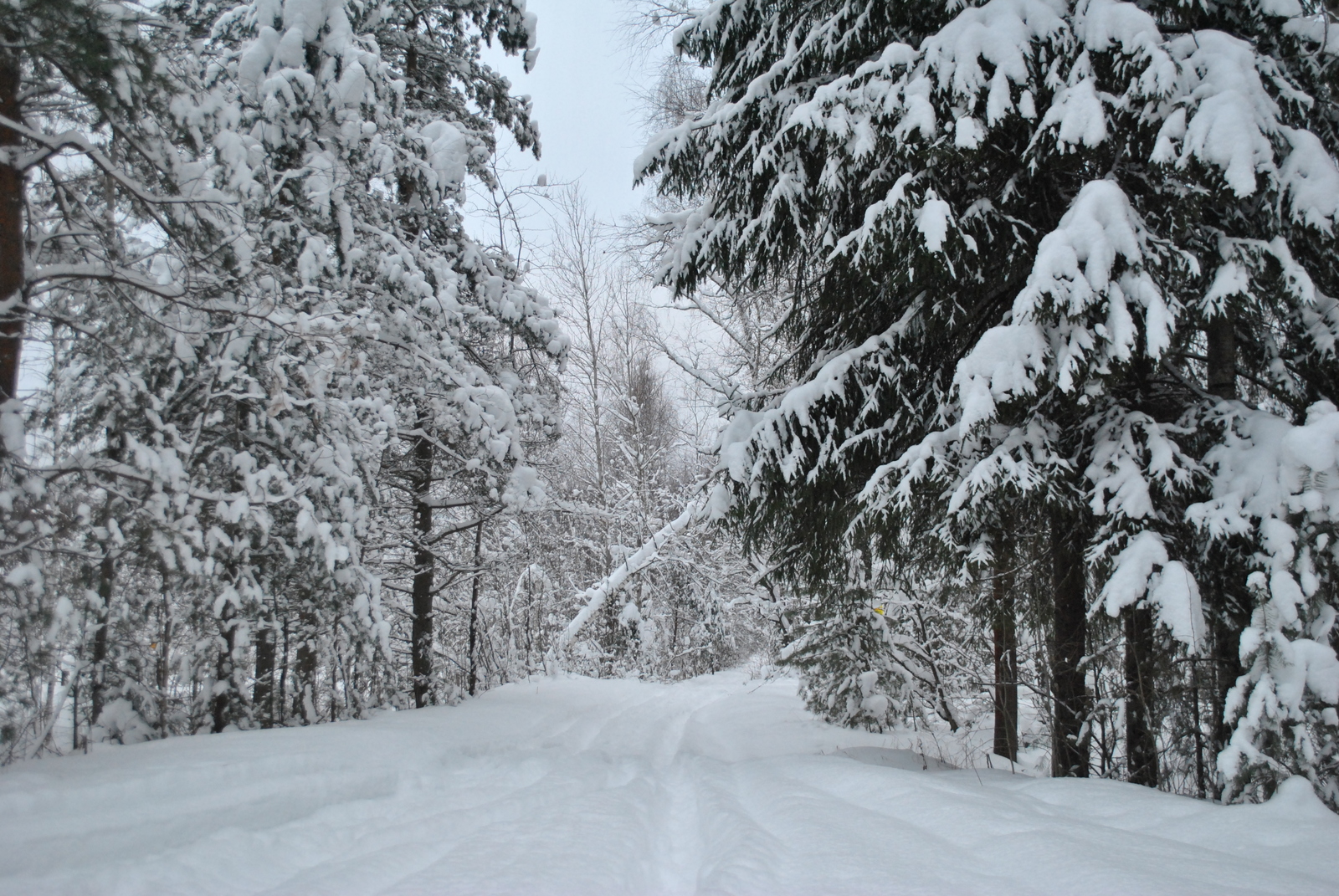 Winter beauty - My, Hike, Winter, Longpost