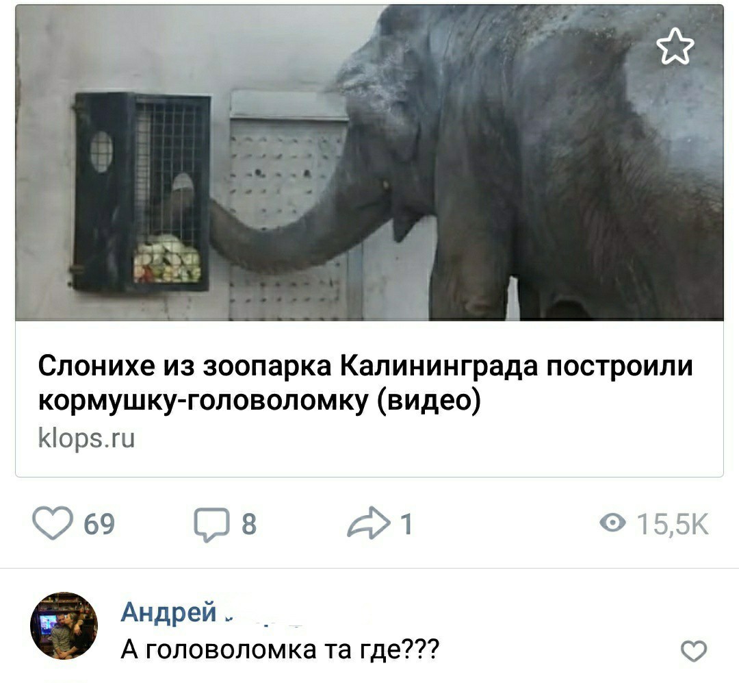 Головоломка для слона! | Пикабу