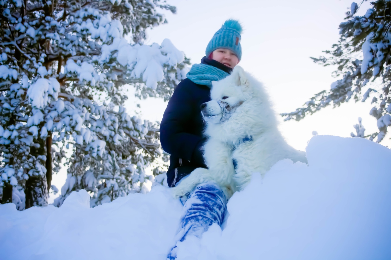 summit conquerors) - My, Samoyed, , Longpost