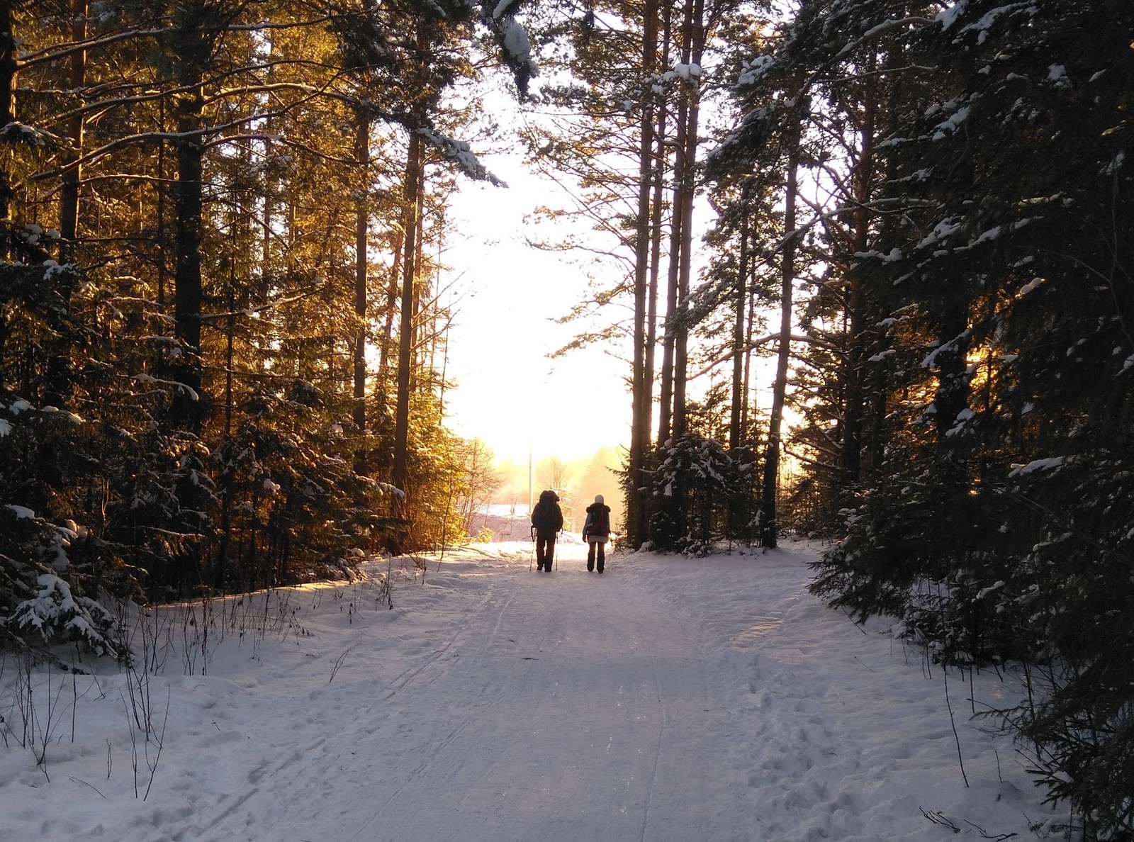 Taganay - My, Taganay, Winter, Forest, Sunset