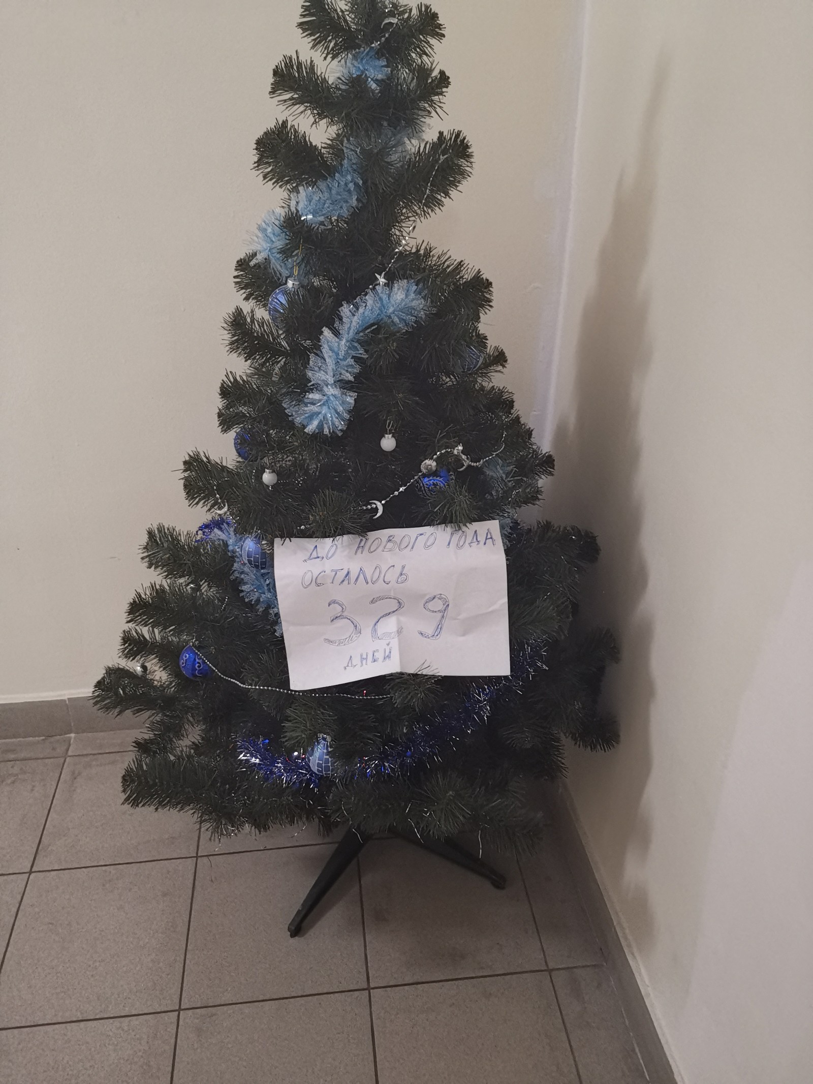 The usual life crap that everyone posts. - My, New Year, Christmas tree, Entrance, Neighbours, The photo