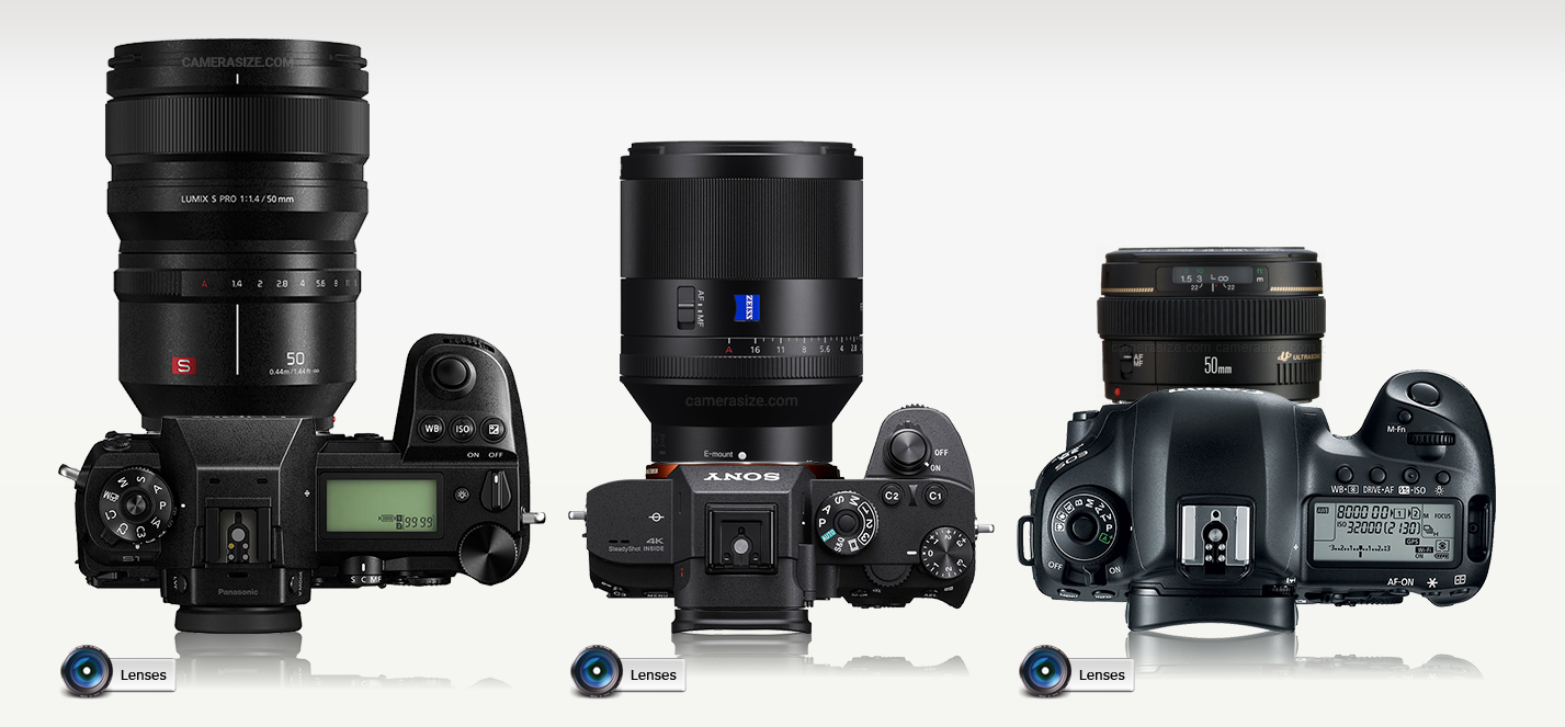 Compact mirrorless - Reflex camera, Bezzerkalka, Panasonic, Sony, Canon, Sarcasm