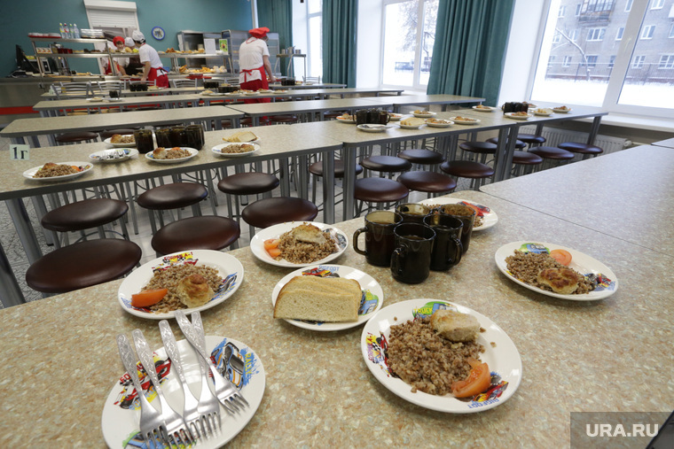 The MP proposed to abolish free meals for grades 1-4 - Yekaterinburg, Canteen, School, Nutrition, Deputies, Negative