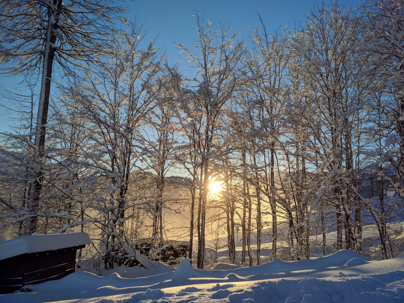 Winter morning in the mountains of Sochi - My, Morning, The sun, Rosa Khutor