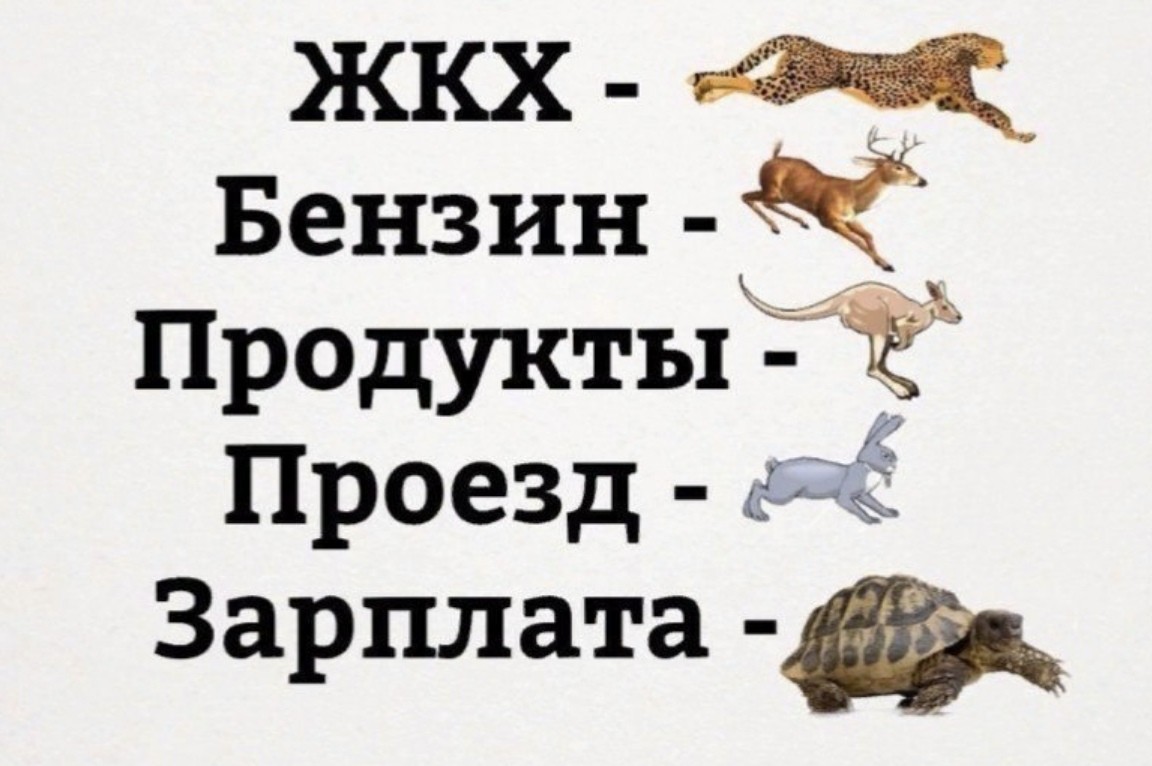 Скорость цен в России - Цены, Россия