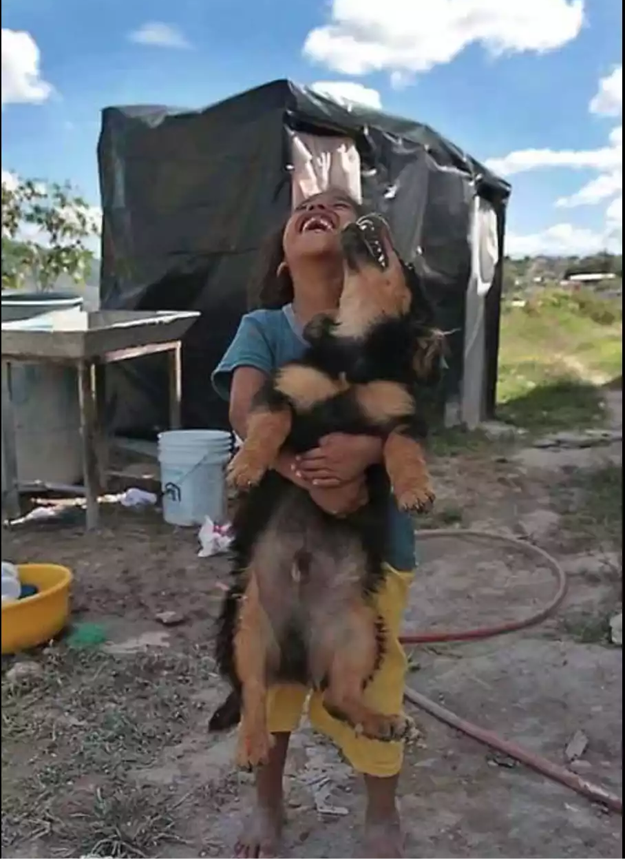 How much do you need to be happy? - Children, Dog, friendship, Milota, Joy