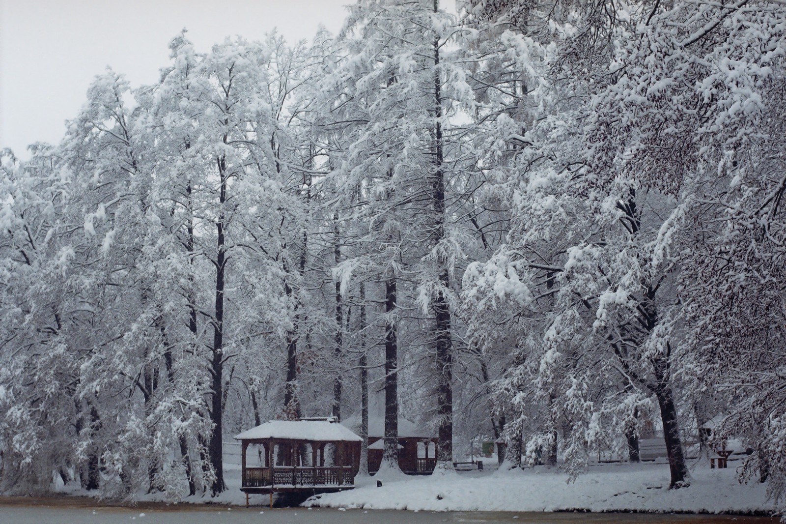 New Year in Transcarpathia - My, The photo, camera roll, Longpost