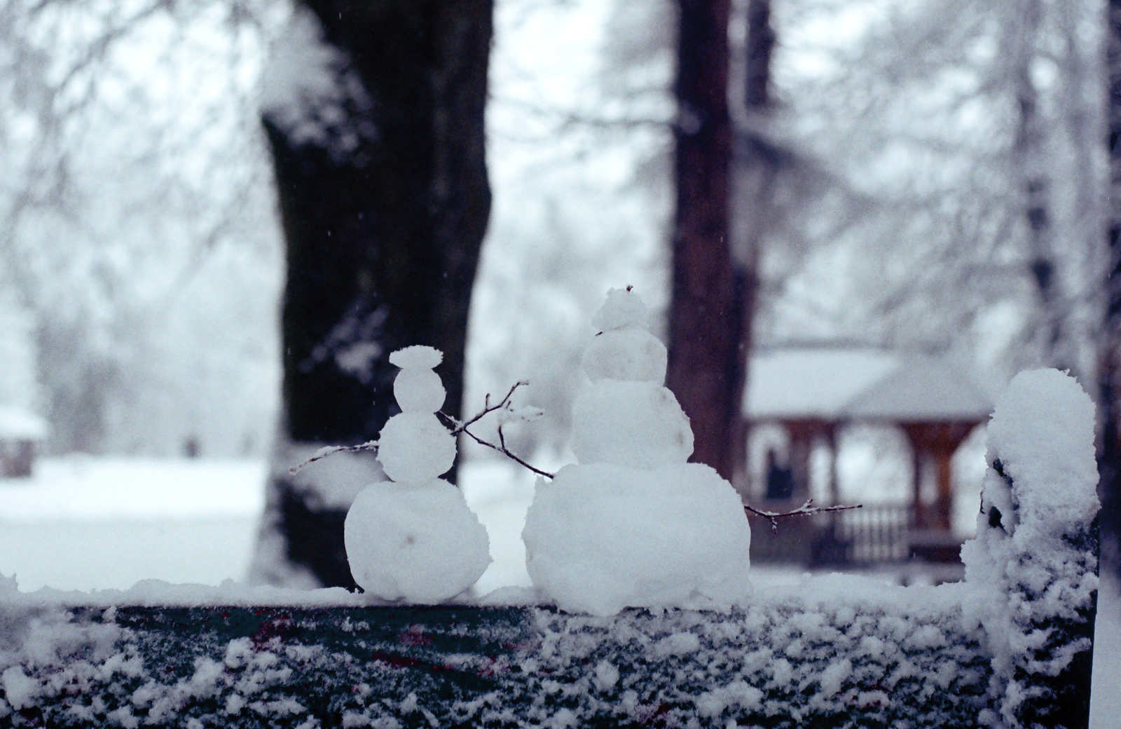 New Year in Transcarpathia - My, The photo, camera roll, Longpost