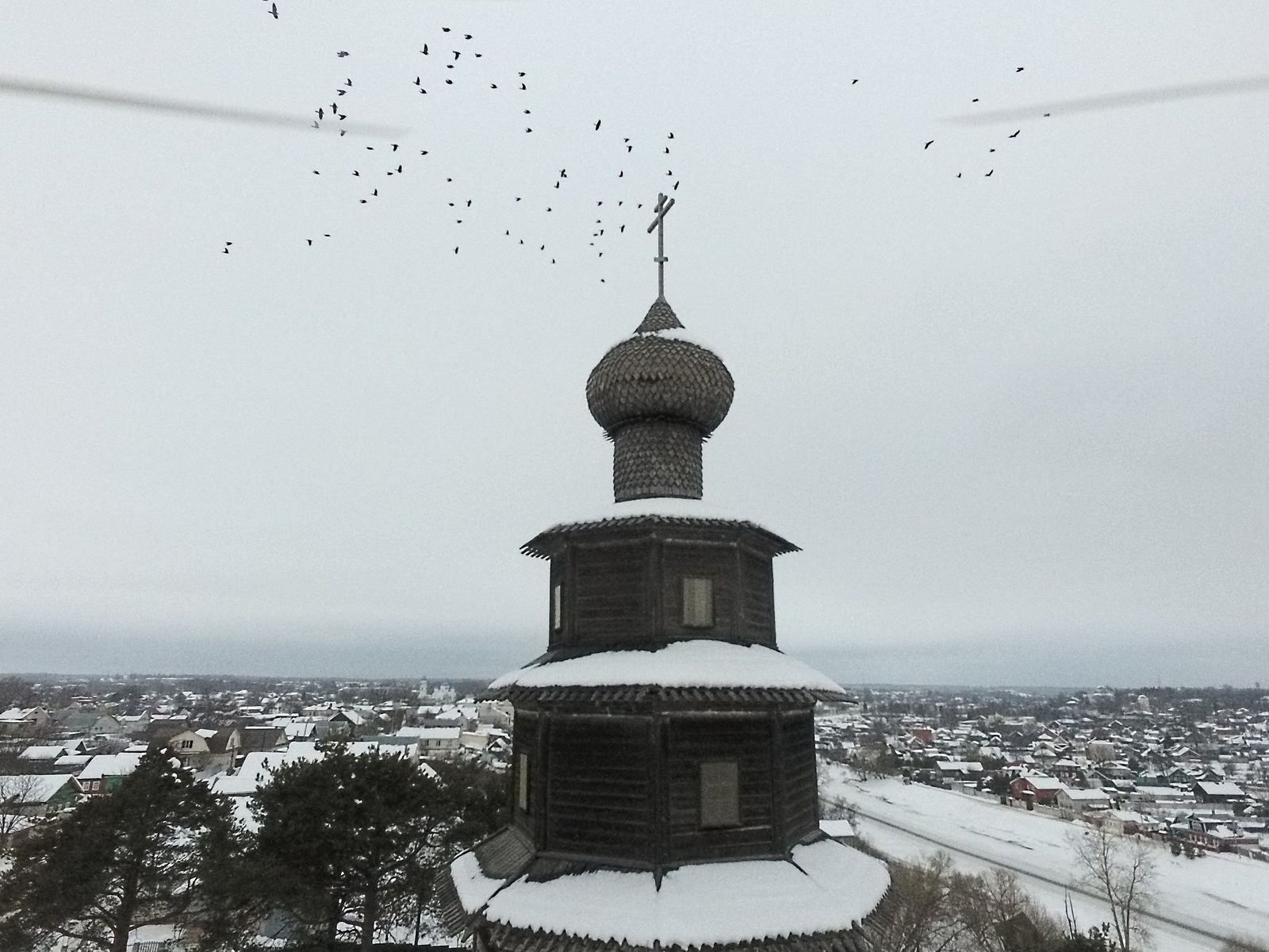 Living colleagues - My, Birds, DJI Phantom, The photo