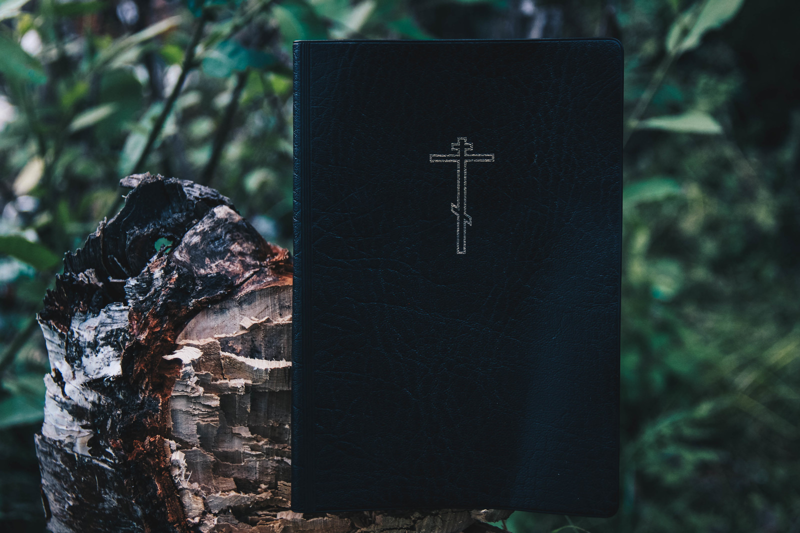 How I found a bible in the forest - My, Walk, Forest, The photo, Story