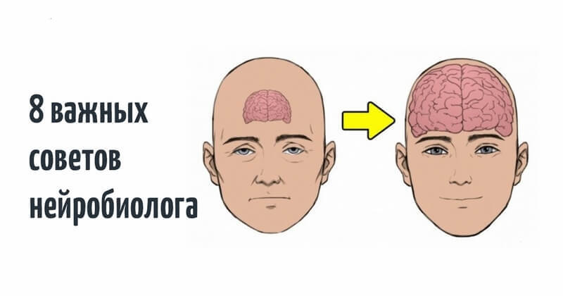 8 советов нейробиолога о том, как стать счастливым раз и навсегда - Совет, Врачи, Развитие, Длиннопост