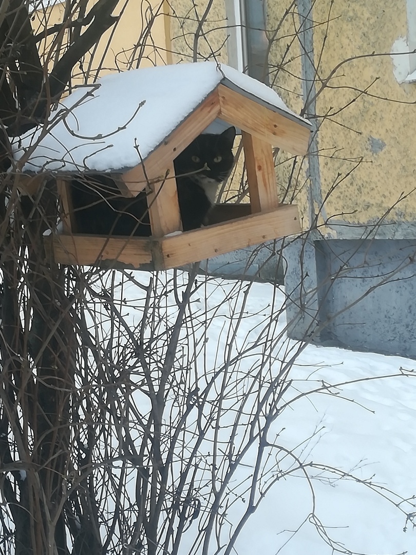 Ну допустим чик-чирик... | Пикабу