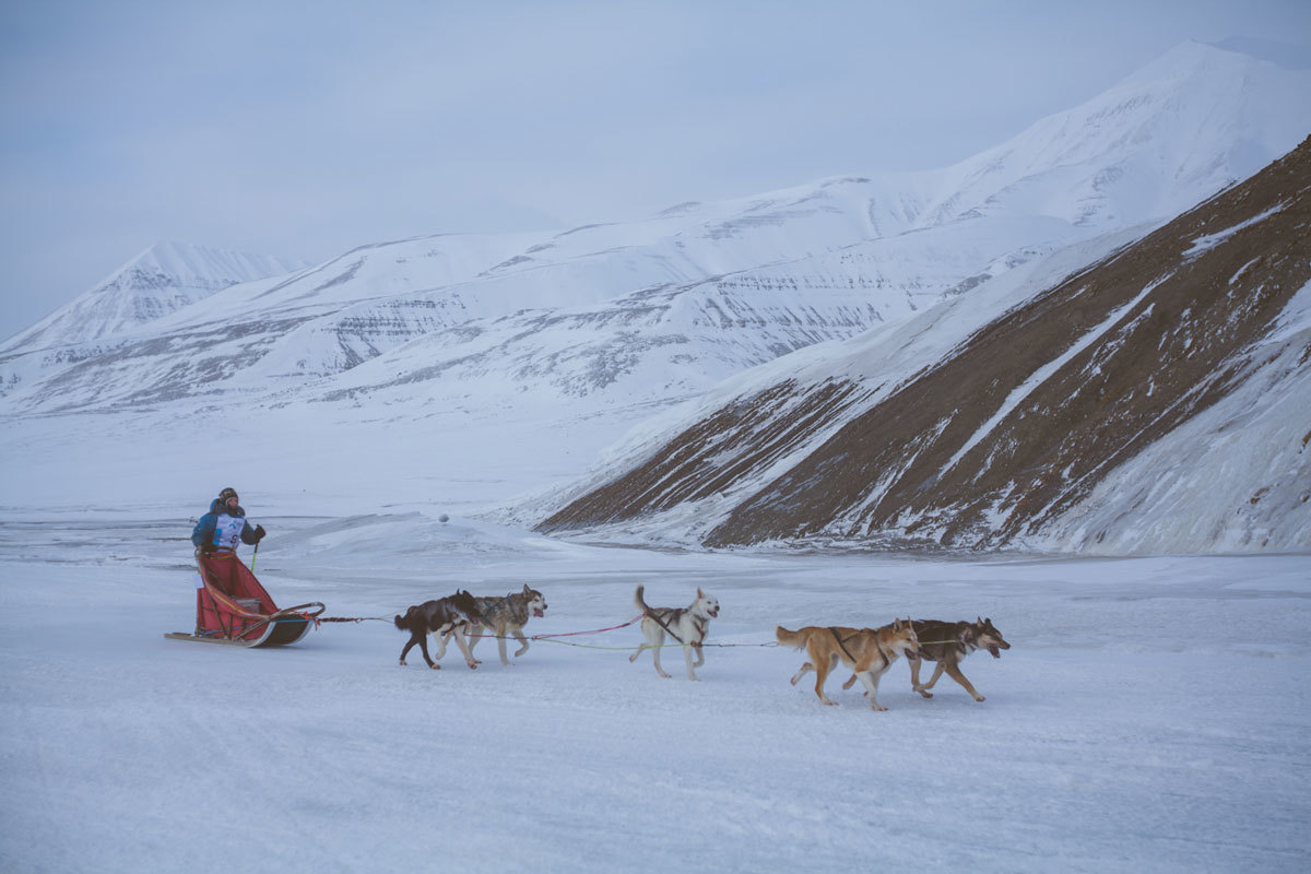 Life in Svalbard. - Spitsbergen, Russia, Norway, Longyearbyen, Arctic, Longpost