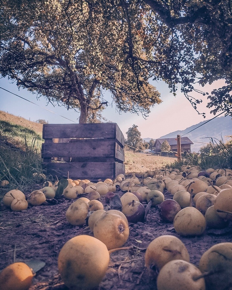 Наши за границей. На классных берегах. Швейцария - Моё, Путешествия, Швейцария, Наши за рубежом, Наши за бугром, Заграница, Длиннопост