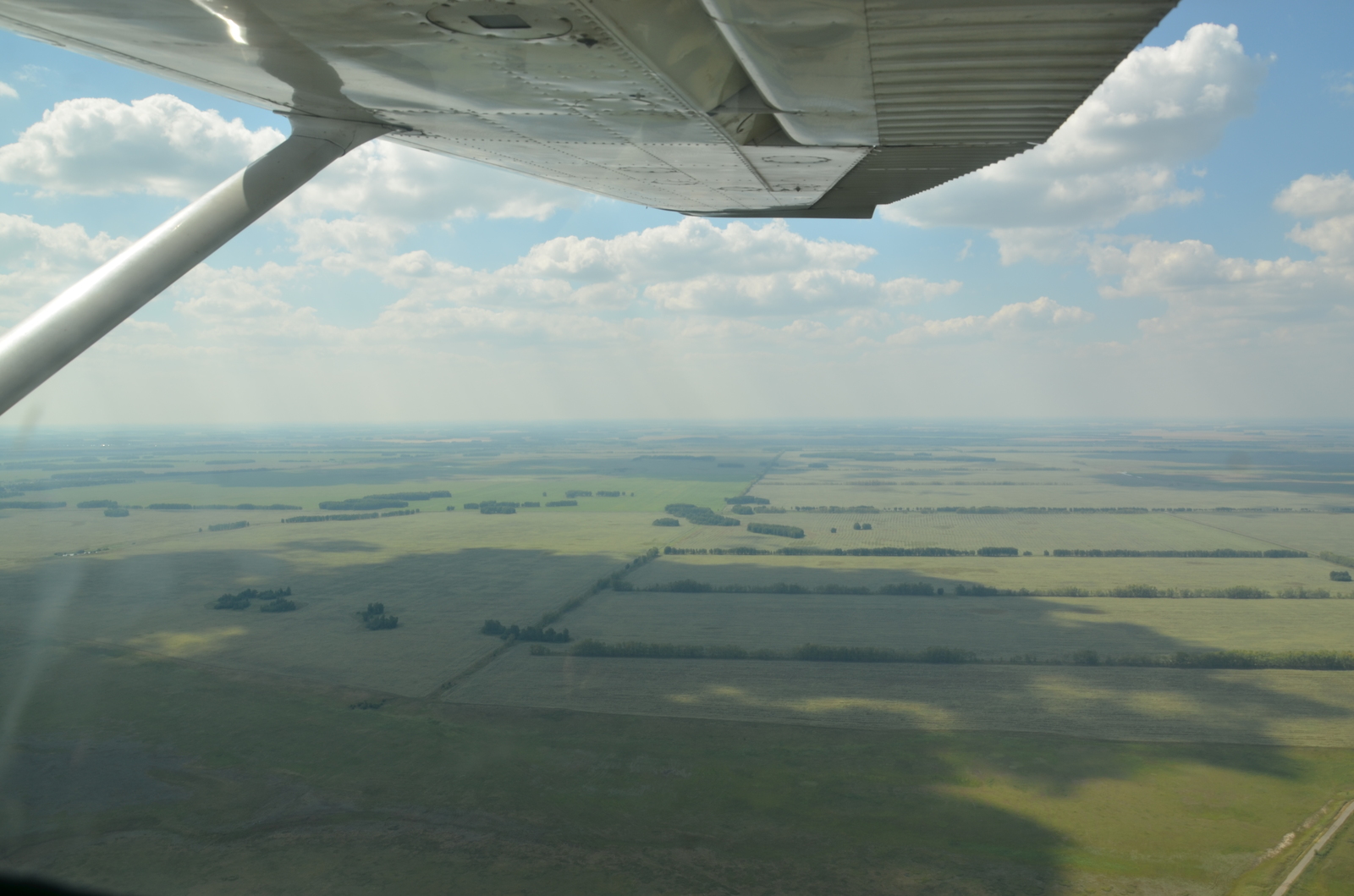 Endless fields - My, Landscape, Bird's-eye, Horizon, Sky, Field, Beginning photographer, View from above