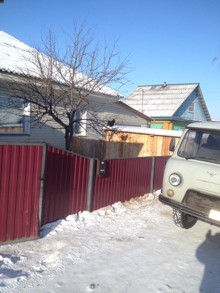 Impressions of life in Siberia #5. - My, Siberia, A life, Real life story, Hen, Life stories, Longpost