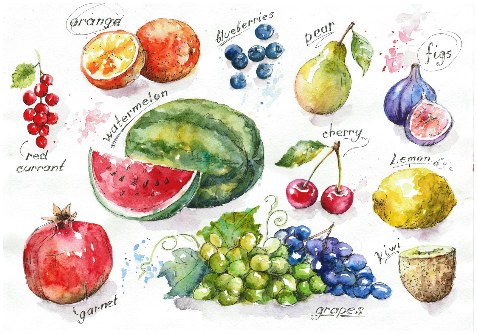 Fruit and Vegetables Watercolor FHD