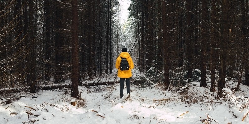 The son left the bound and undressed father in the forest in Kokshetau - Kokshetau, Kazakhstan, , Alcoholism, Incident, Negative, Incident