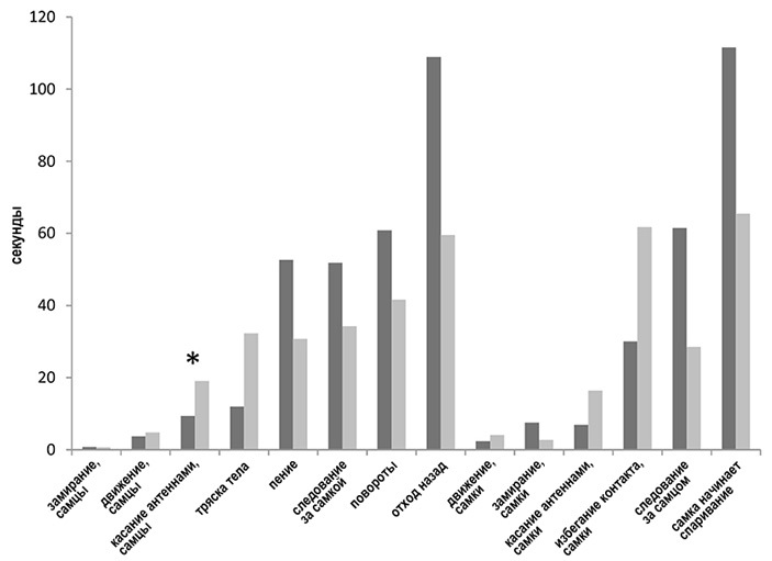 Female crickets value more in suitors not strength, but behavioral flexibility - The science, Entomology, Insects, Crickets, Copy-paste, Elementy ru, Longpost