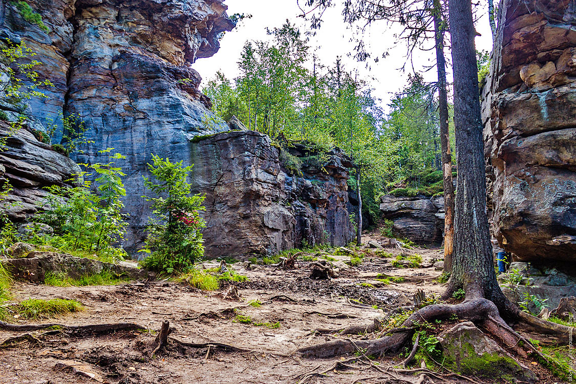 Bicycle tour Komi-Ural. - My, Bike trip, Travels, The photo, Perm Territory, Longpost