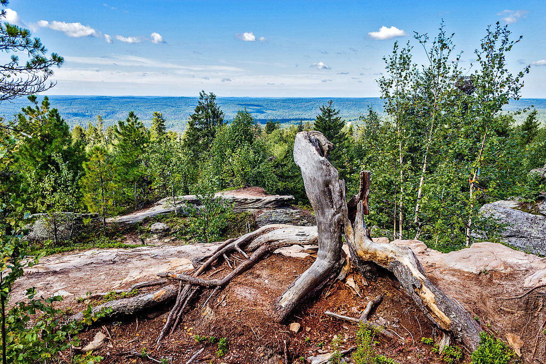 Bicycle tour Komi-Ural. - My, Bike trip, Travels, The photo, Perm Territory, Longpost