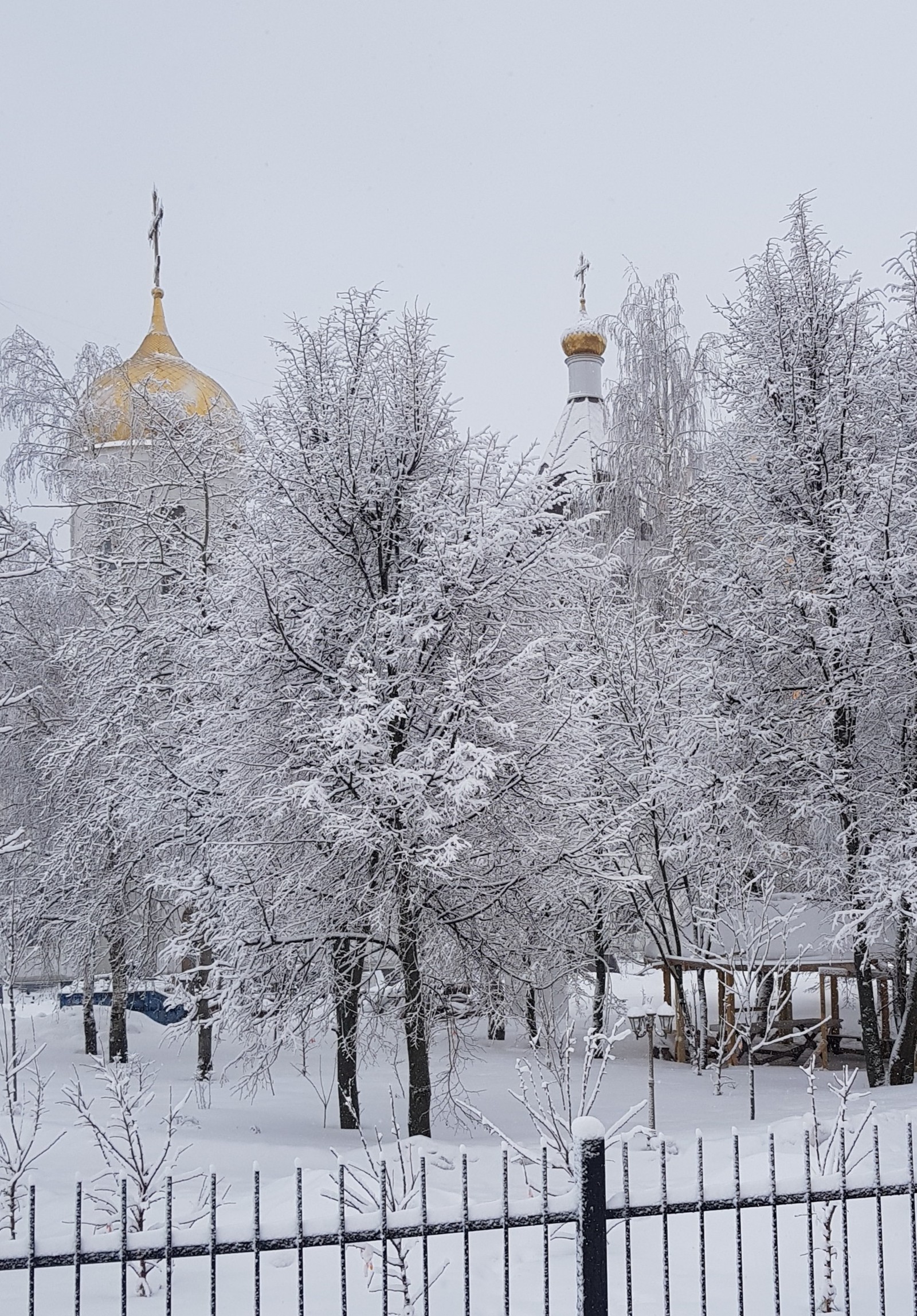 Это Родина моя - Коммунарка, Природа, Длиннопост