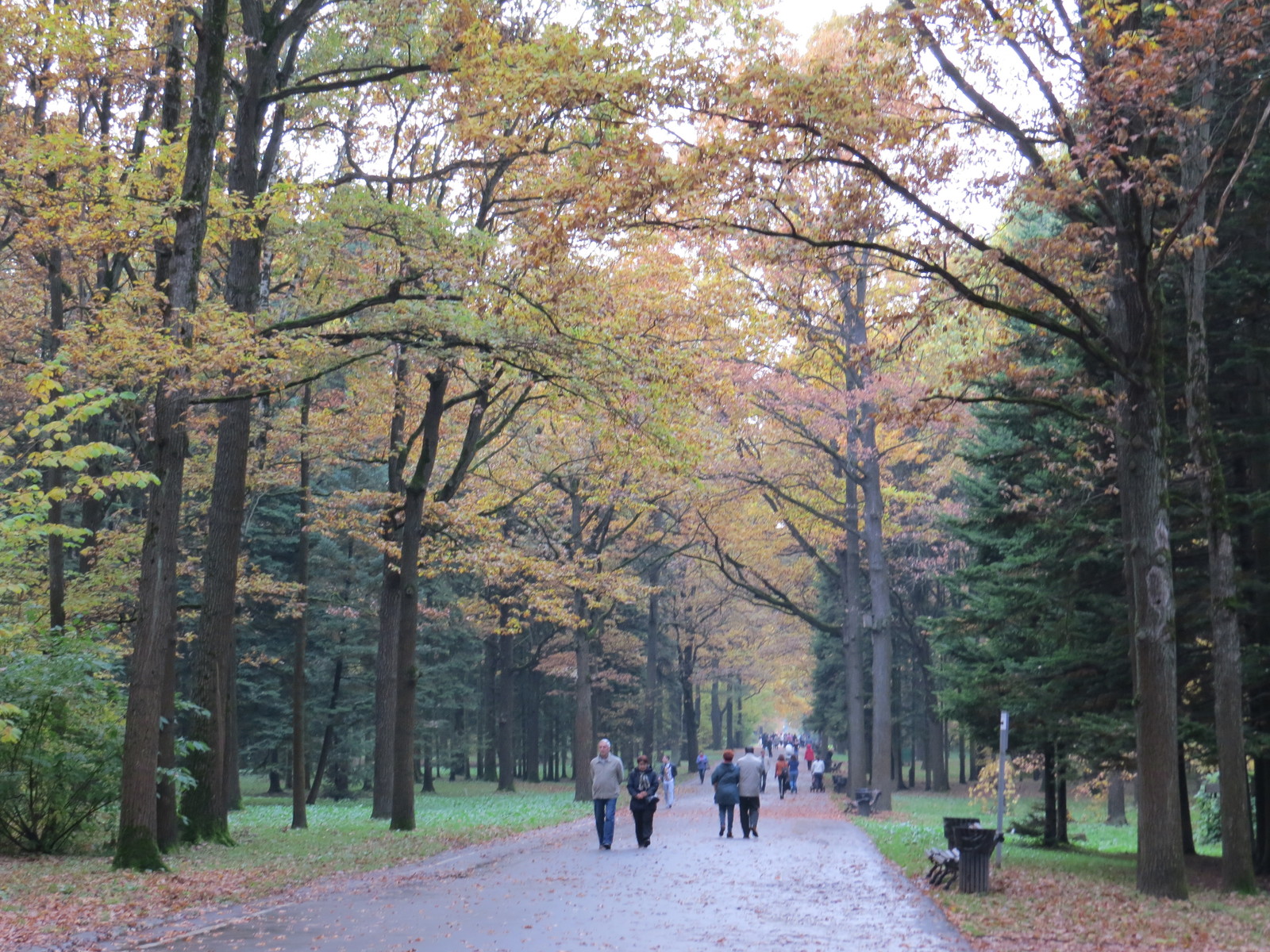 Botanical Garden - My, Hekut, Botanical Garden, Nature, Tree, Autumn, The photo, Beginning photographer, Longpost