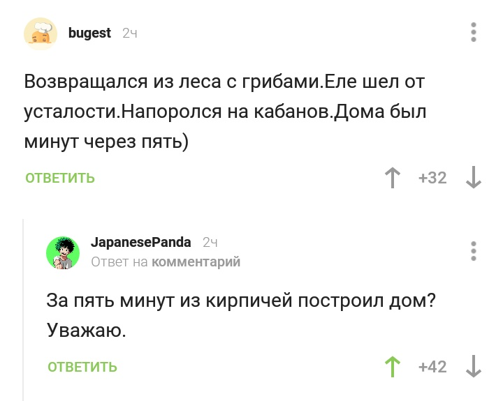 Комментарии 821 - Комментарии, Дом, Скриншот, Комментарии на Пикабу, Кабан